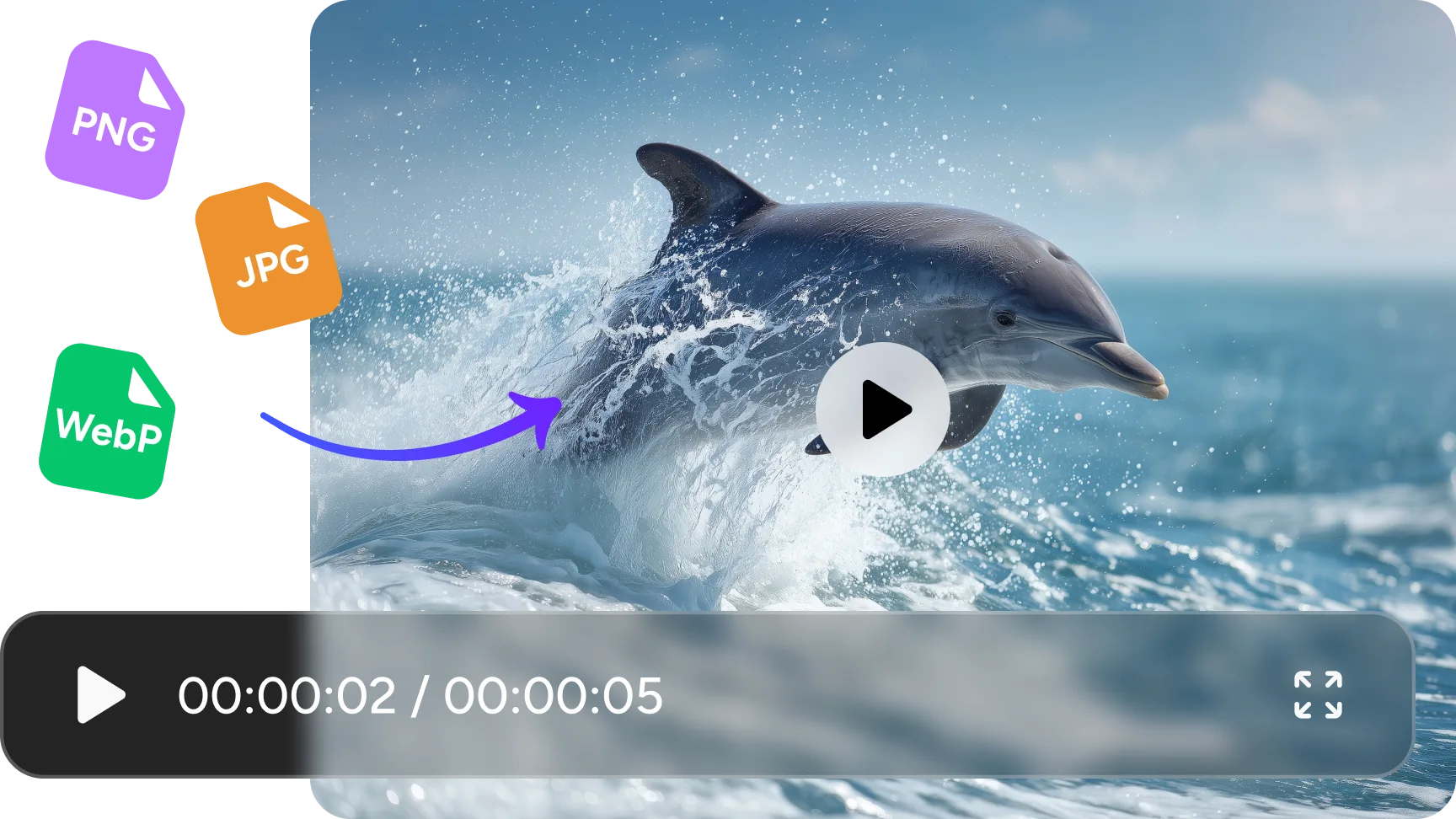 wan 2.2 generated dolphin video from different image form